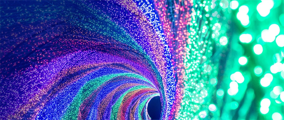 Разнообразие цветов и видов свечения