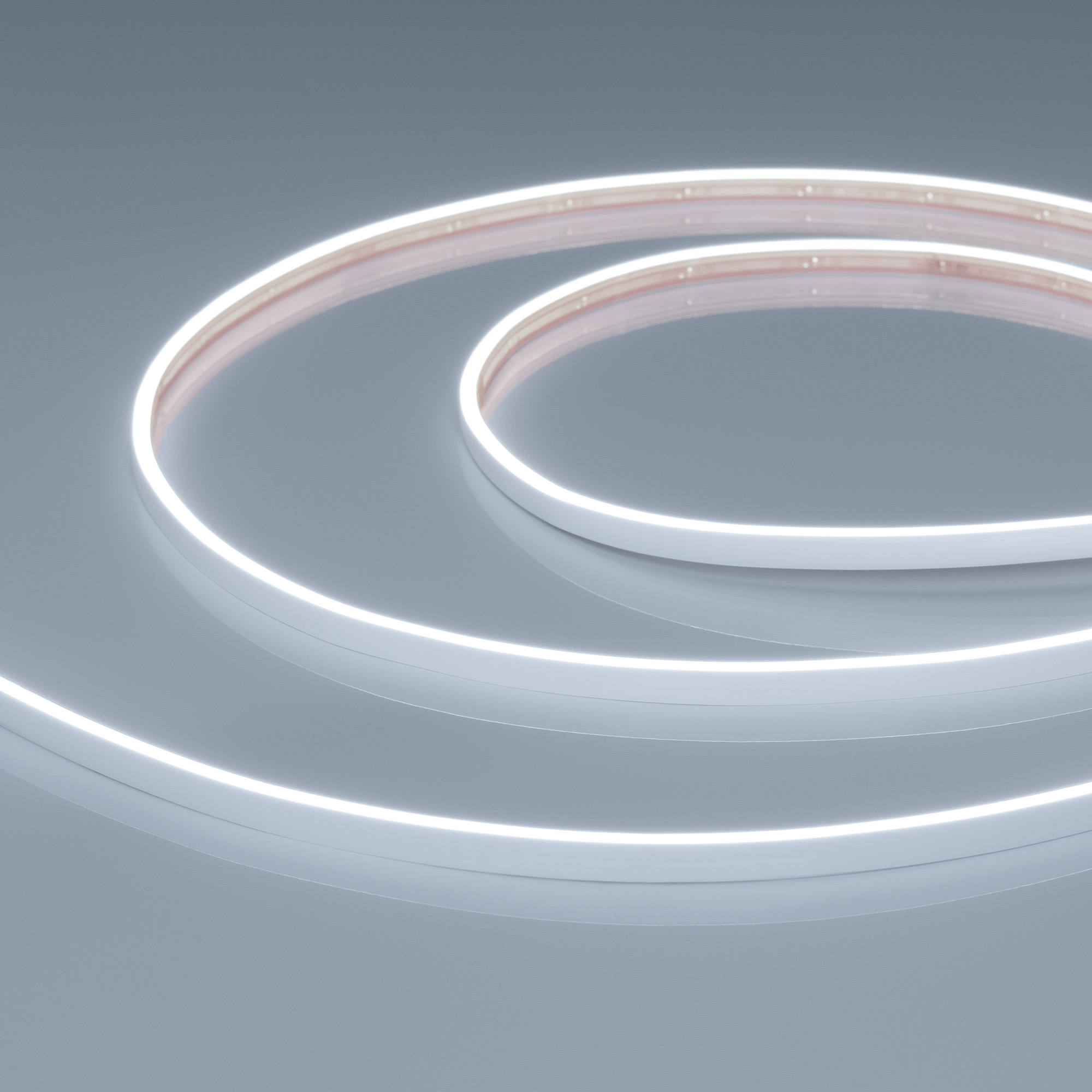 Светодиодная лента герметичная VELA-M240-2.5x6mm 24V White6000 (5 W/m, IP65, 5m) (Arlight, узкая)