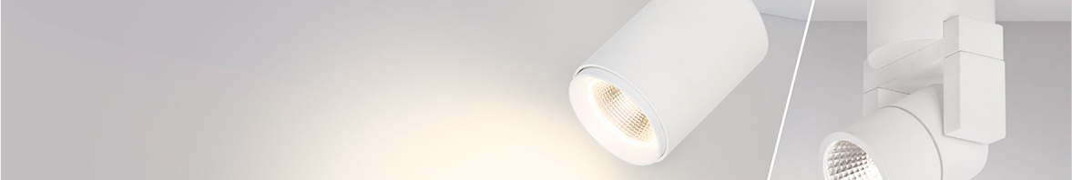 В лучах света