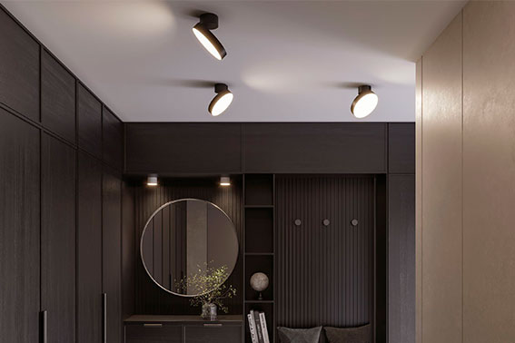 Темная мебель и округлые элементы в интерьере прихожей