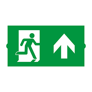 Пиктограмма EMGP-DIRECT-UP (Вверх) (Arlight, Пластик)