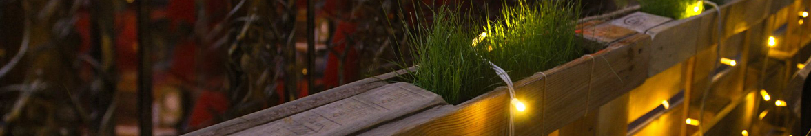 Яркое лето с Ardecoled