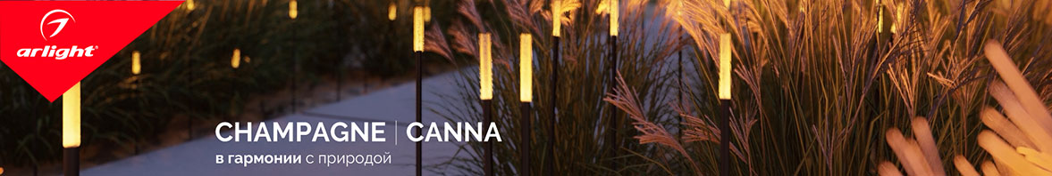 Сказочный свет CHAMPAGNE и CANNA