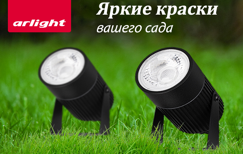 Яркие краски вашего сада