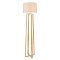 Напольный светильник (торшер) Freya FR5134-FL-01-BG