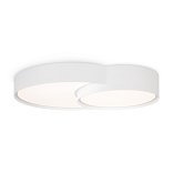 Потолочный светильник Freya FR6094CL-L72W