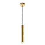 Подвесной светильник Pro Focus GU10x1