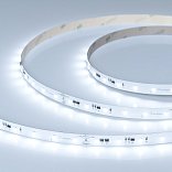 Светодиодная лента IC-A60-10mm 24V White6000 (4.8 W/m, IP20, 2835, 20m) (Arlight, 4.8 Вт/м, IP20)