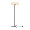 Напольный светильник (торшер) Freya FR6132FL-L15B