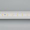 Светодиодная лента RTW 2-5000PS-50m 24V Day4000 (2835, 80 LED/m, LUX) (Arlight, 6 Вт/м, IP67)