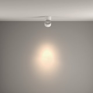 Потолочный светильник Yin 4000K 1x15Вт 24°