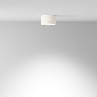 Потолочный светильник Hoop GX53 12Вт