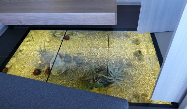 Подсветка сухого аквариума светодиодной лентой Arlight