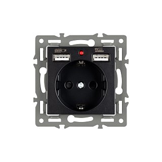Механизм розетки с USB зарядкой SCT-MUAA-PL-BK (250V, 16A) (Arlight, -)