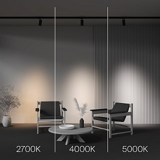 Трековый светильник Focus Led Trinity 2700-5000K 20Вт 36°
