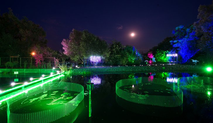 Светодиодная лента Arlight и светодиодные прожекторы Arlight в ландшафтной подсветке