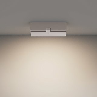 Потолочный светильник Basis Rot 4000K 12Вт 120°