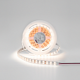 Светодиодная лента IP33 теплое белое свечение, DSG5120-24-WW-33