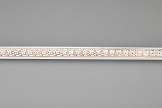 Светодиодная лента SPI-5000P-RAM-5060-100 12V Cx1 RGB-Auto (12mm, 14.4W/m, IP66)) (Arlight, Закрытый, IP66)