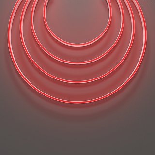 Гибкий неон 10x4 24В 9,6 Вт/м Red IP67 5м