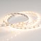 Светодиодная лента RT 2-5000 12V Warm2700 (3528, 300 LED, LUX) (Arlight, 4.8 Вт/м, IP20)