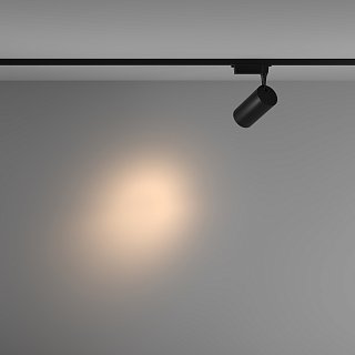 Трековый светильник Technical TR003-1-36W3K-S-B