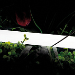 Тёплый белый 24В IP66 16Вт/м 360 LED/м SMD2835 360° D25 SWG-2360-24-WW-66