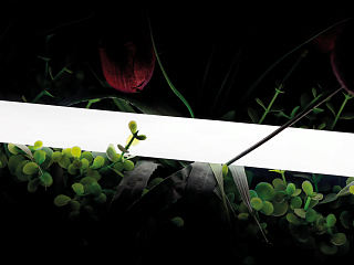 Тёплый белый 24В IP66 16Вт/м 360 LED/м SMD2835 360° D25 SWG-2360-24-WW-66