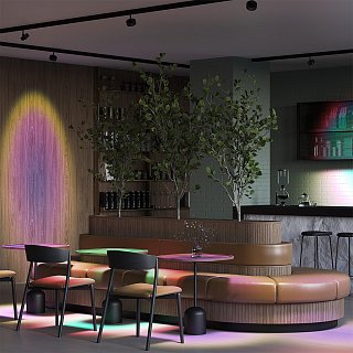 Трековый светильник Lens Exility 2700-6500K 15Вт 70° Dim Dali