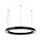 Светильник SP-CIRCLE-HANG-O3535-D500-30W Warm3000 (RAL9005, 120 deg, 230V) IP40 LED (Arlight, Алюминий)