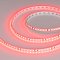 Светодиодная лента RT-A120-8mm 24V Red (9.6 W/m, IP20, 2835, 5m) (Arlight, 9.6 Вт/м, IP20)