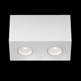 Потолочный светильник Atom GU10 2x10Вт