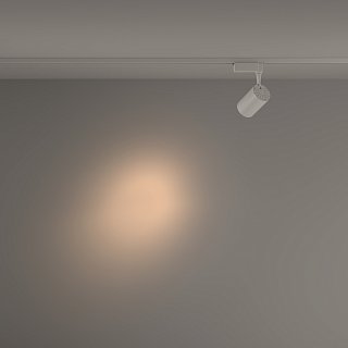 Трековый светильник Vuoro Unity 3000K 10Вт 24°