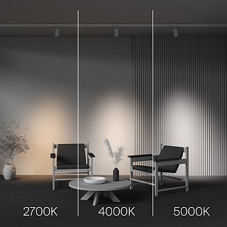 Трековый светильник Focus Led Trinity 2700-5000K 20Вт 36°