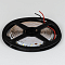 Светодиодная лента SWG PRO 2835, 60 LED/м, 4,8 Вт/м, 24В , IP20, Цвет: Холодный белый, SWG2P60-24-4.8-W