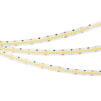 Светодиодная лента RT-A252-10mm 24V Day4000 (11 W/m, IP20, 2835, 5m) (Arlight, Открытый)