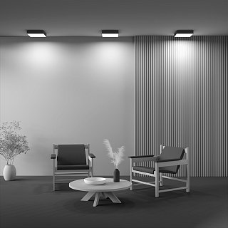 Потолочный светильник Zon 4000K 36W 120°