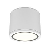 Потолочный светильник Rendo GX53 12Вт IP44