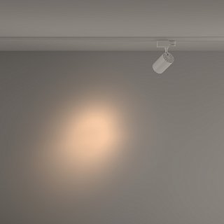 Трековый светильник Technical TR029-3-10W3K-S-W