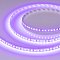 Светодиодная лента RT-A120-8mm 24V Violet (9.6 W/m, IP20, 2835, 5m) (Arlight, -)