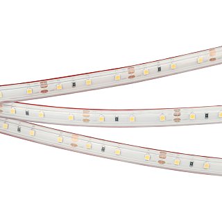 Светодиодная лента герметичная RTW-PS-A60-10mm 12V Warm3000 (4.8 W/m, IP67, 2835, 5m) (Arlight, 4.8 Вт/м, IP67)