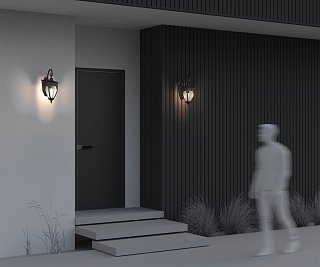 Настенный светильник (бра) Fleur E27х1 60Вт IP 44