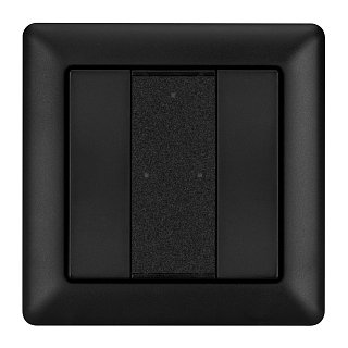 INTELLIGENT ARLIGHT Панель DALI-223-2K-D2-IN-BLACK (BUS, Free purpose) (IARL, -)