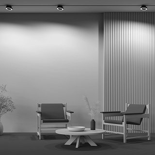 Трековый светильник Rim Unity 3000K 12Вт 110°