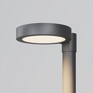 Парковый светильник Dion 3000К 50Вт IP 65