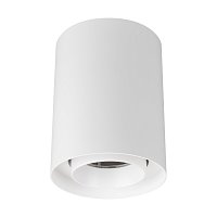 Светильник SP-FOCUS-R110-18W Day4000 (WH, 15 deg, 230V) (Arlight, IP54 Металл, 5 лет)