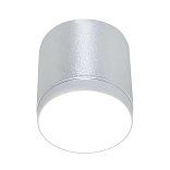 Потолочный светильник Polar GX53 1x12W