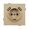 Механизм розетки с USB зарядкой SCT-TENDO-MUAA-SFPL-GD (230V, 16A) (Arlight, -)