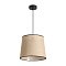 Подвесной светильник Freya FR5483PL-01B1