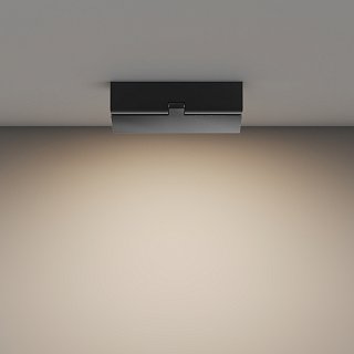 Потолочный светильник Basis Rot 3000K 12Вт 120°